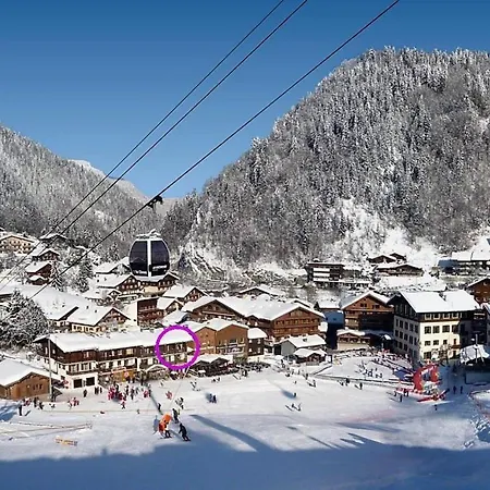 Chardonneret 3 La Clusaz